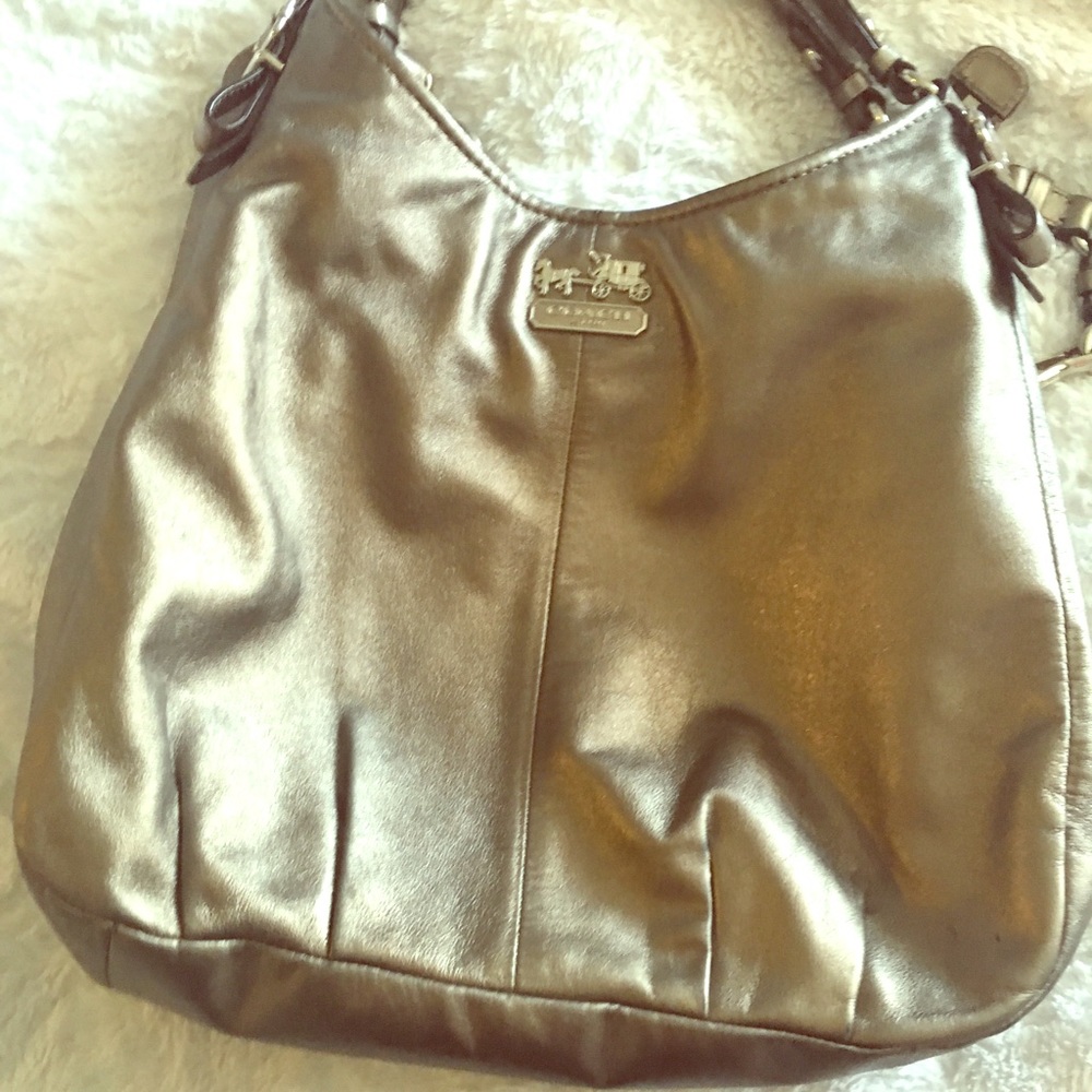 Coach Hobo Bag (large)
